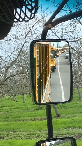 School bus